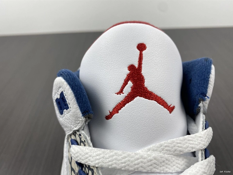 Blue Retro  Jordan 854262-106 (2016) True 3  0201